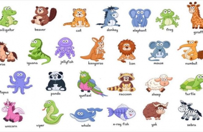 Bảng tên các loài vật tiếng việt và tiếng anh cho bé