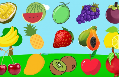 Dạy bé học nhớ bằng hình ảnh các loại hoa quả