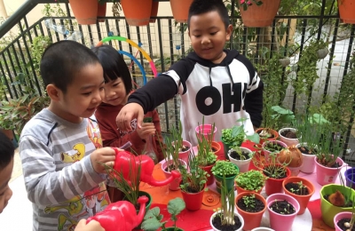 Bài thuyết trình về góc thiên nhiên