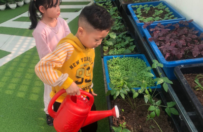 Cách tạo không gian xanh cho bé vui chơi sống khoẻ