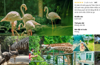 Nhà hơi nhún nhảy cho khu vui chơi ngày Hè