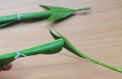 Hoạt động ngoài trời làm đồ chơi từ lá cây dành cho các bé