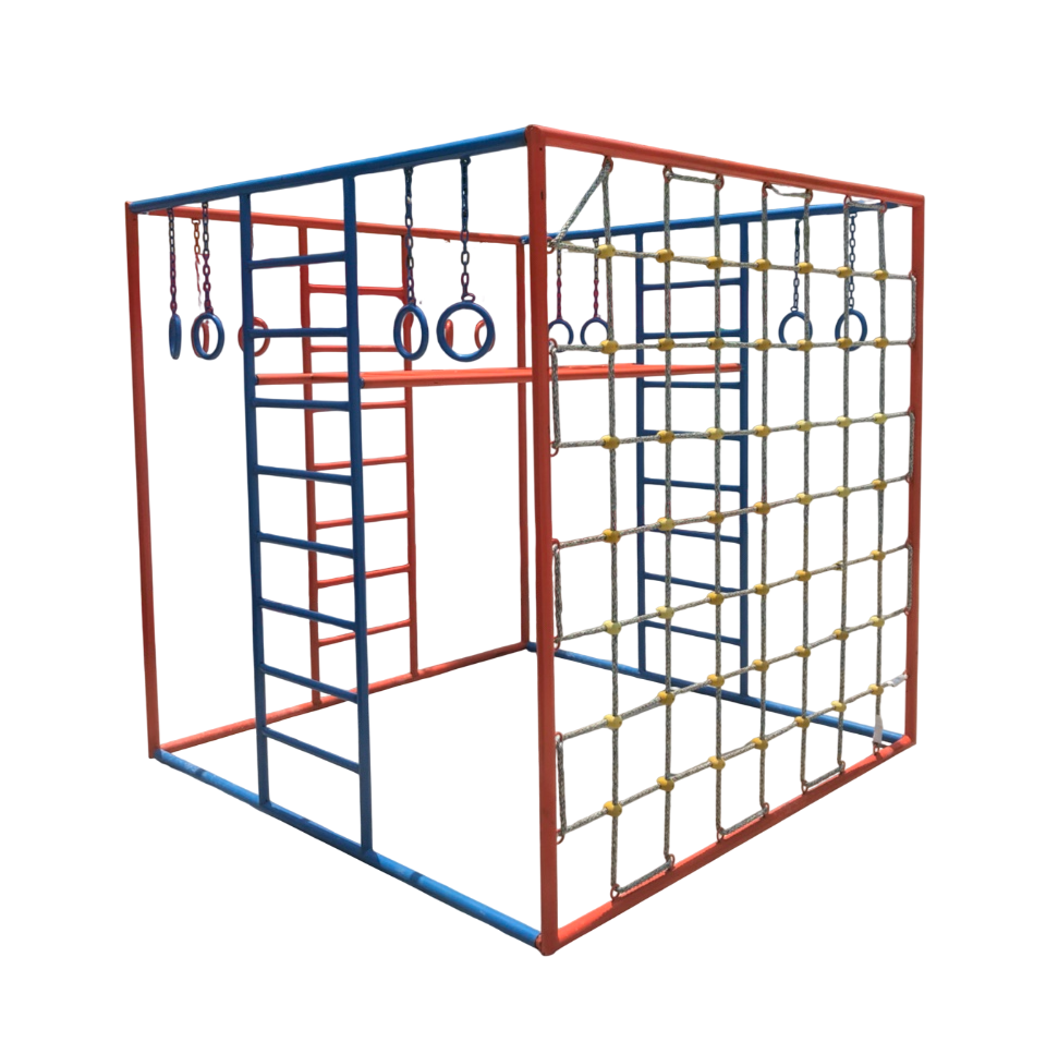 Thang leo vận động thể chất_TL 006