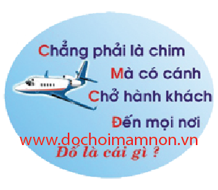 Bảng biểu_BB 025