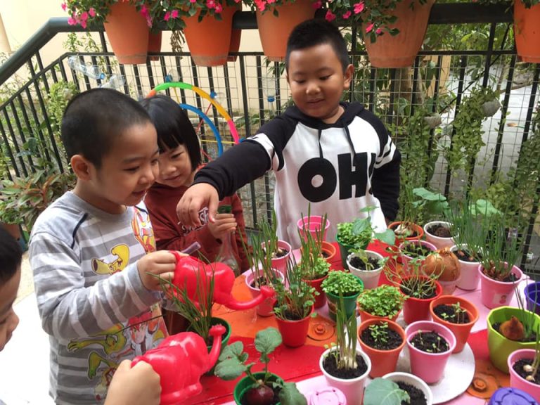 Bài thuyết trình về góc thiên nhiên