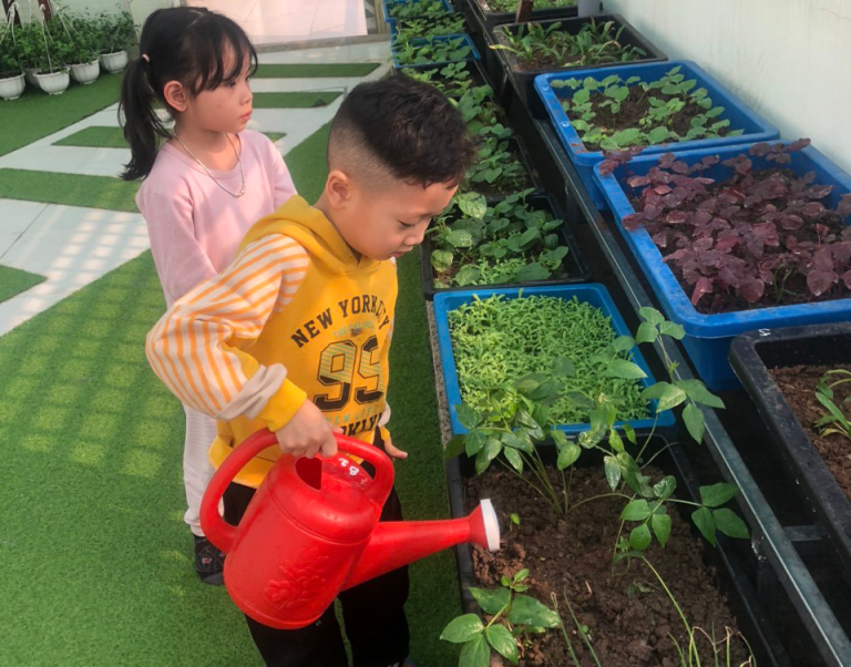Cách tạo không gian xanh cho bé vui chơi sống khoẻ