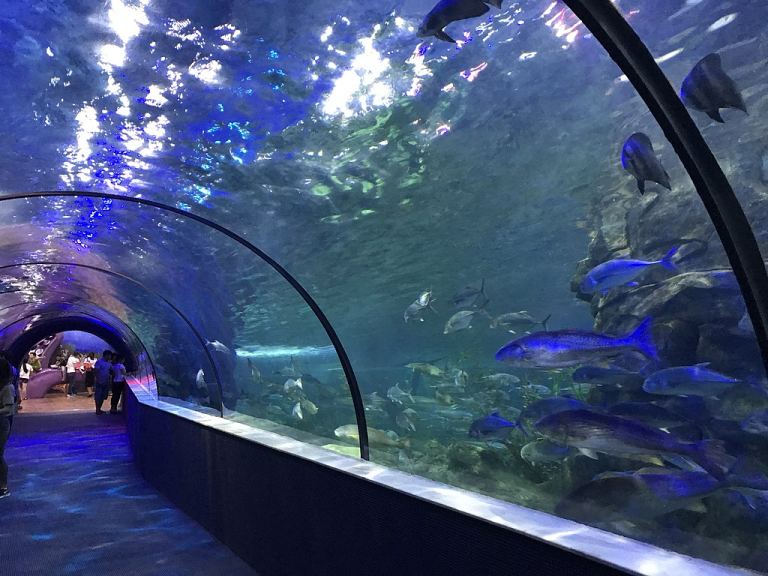 Nên cho bé vui chơi thế nào ngày nghĩ