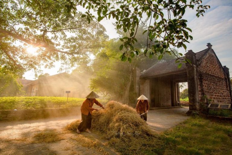 Những địa điểm du lịch trải nghiệm lịch sử dành cho các bé mầm non