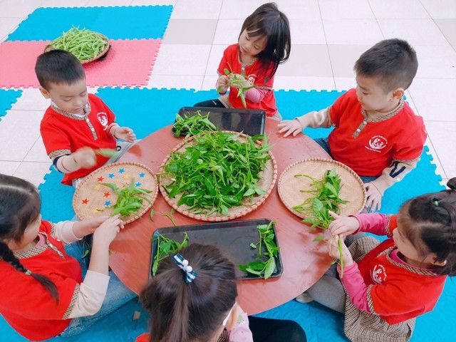 Một số chương trình trải nghiệm thực tế phổ biến cho trẻ mầm non