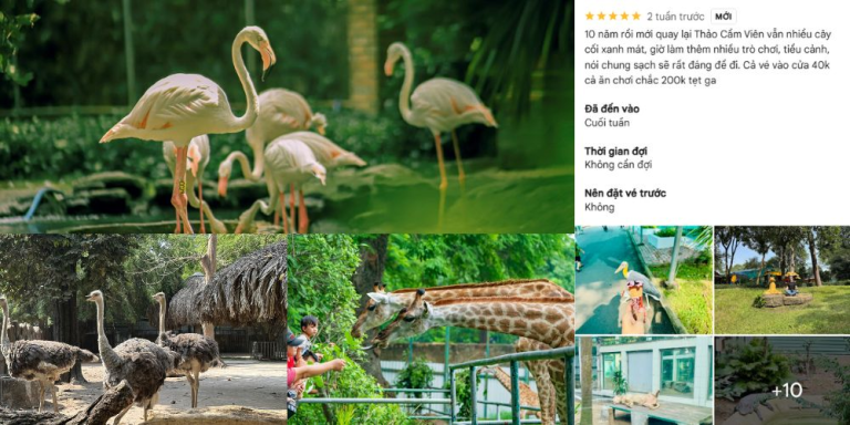 Nhà hơi nhún nhảy cho khu vui chơi ngày Hè