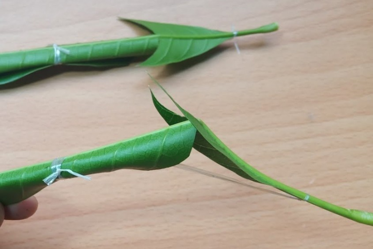 Hoạt động ngoài trời làm đồ chơi từ lá cây dành cho các bé