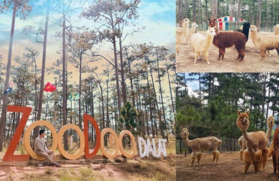 Các địa điểm vui chơi ở Đà Lạt dành cho gia đình có trẻ em